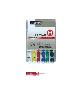 H-FILE