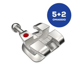 PROMO 5+2 OMAGGIO BRACKET SUNFLOWER