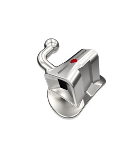 TUBI DIRETTI QUEEN 2° MOLARE  - SING. NON CONVERTIBILE ROTH Slot.018